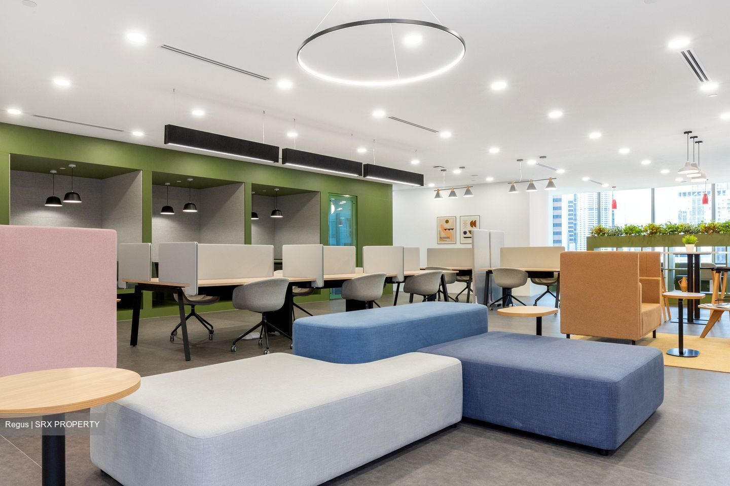 PLUS (D1), Office #543720271